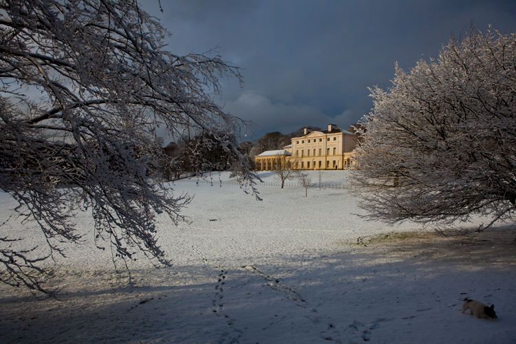 Kenwood House in the Snow (with Ringo) : Hampstead Heath : North London UK