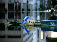 Katrina Floods: New Orleans: it's all a bit of a disaster