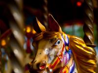 Carousel Horse : South Bank : London